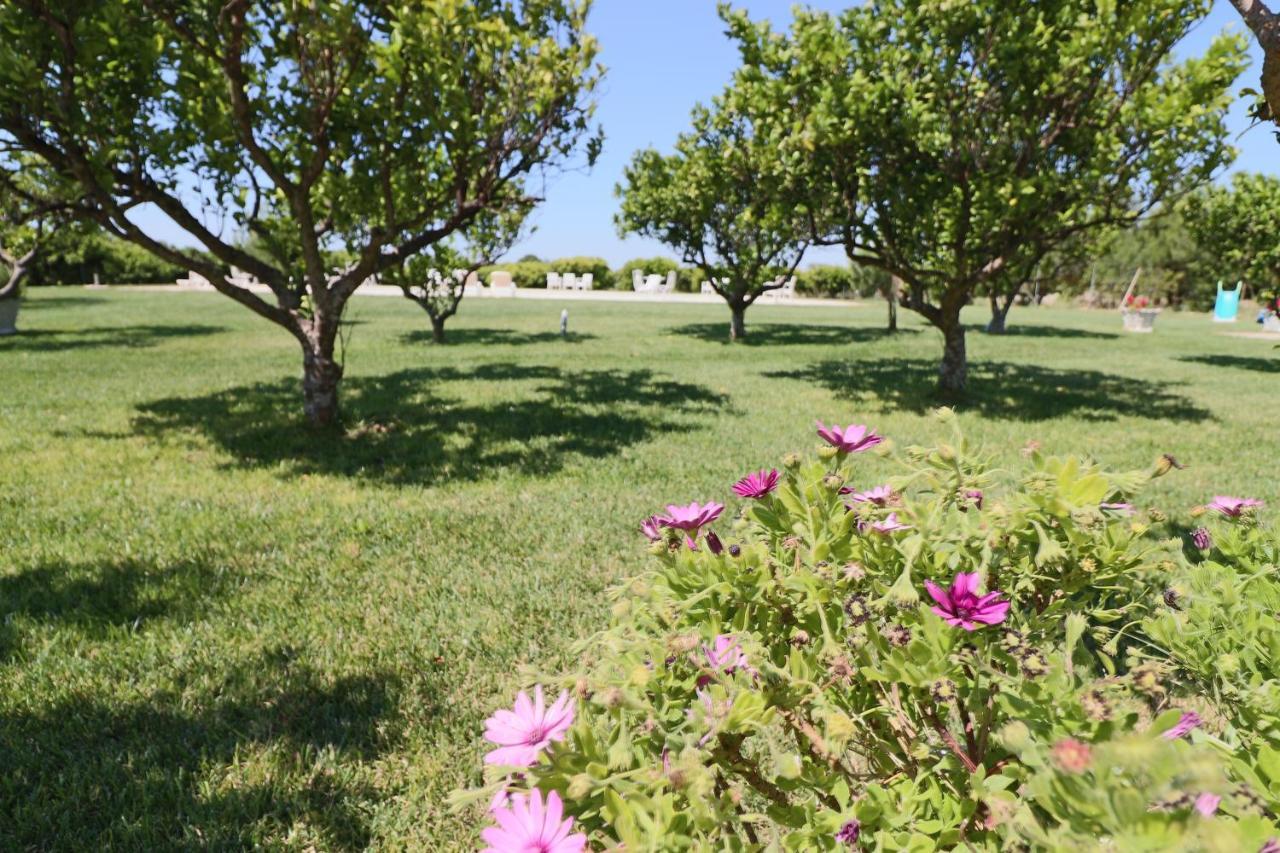 Tenuta Degli Agrumi Bed and Breakfast Carmiano  Buitenkant foto